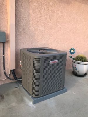 WhatsApp Image 2024-04-18 at 7.41.17 p. m.